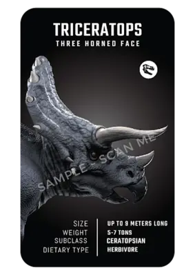 Dinosaur 4D+ android App screenshot 7